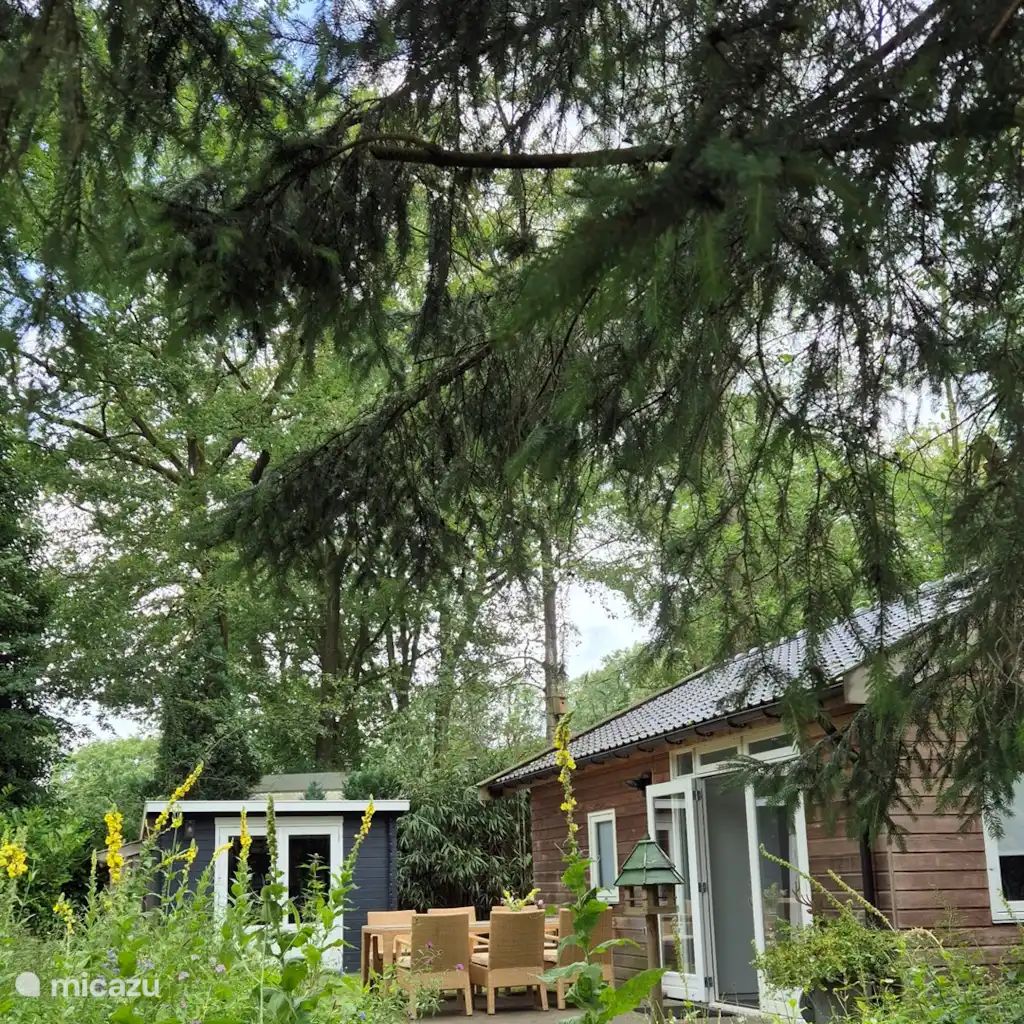 Unterkunft 520252 - Ferienhaus Twente - Blij Buiten