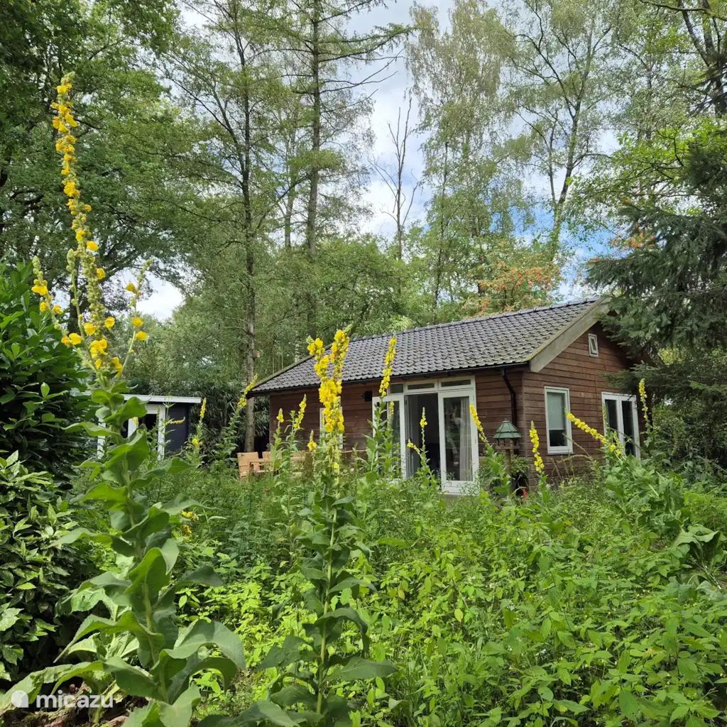 Unterkunft 520252 - Ferienhaus Twente - Blij Buiten