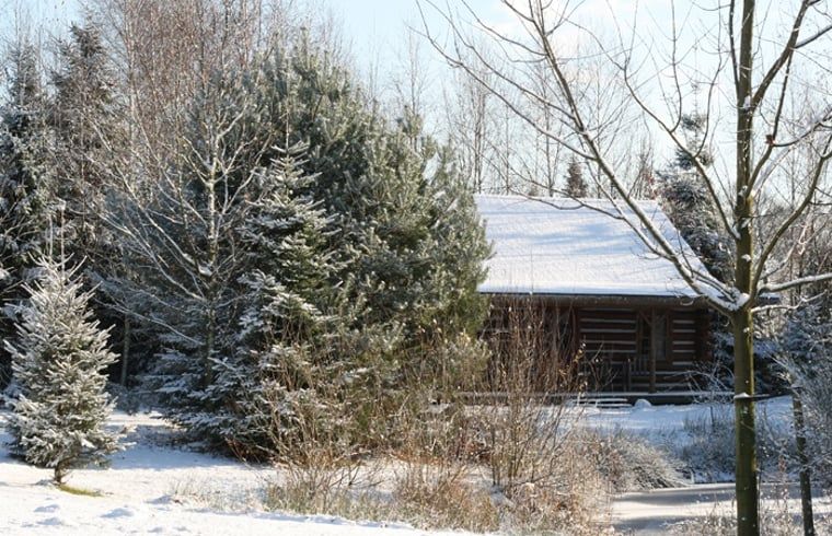 Unterkunft 520408 - Ferienhaus Twente - Vakantiehuisje in Den Ham