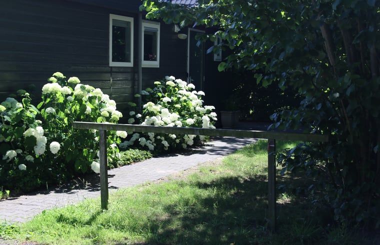 Unterkunft 520410 - Ferienhaus Twente - Huisje in Den Ham