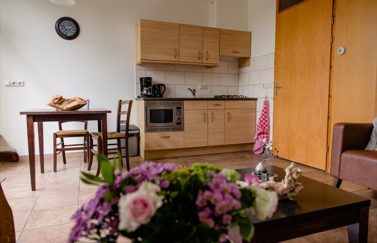 Geniessen Sie ein entspanntes Mittagessen auf der Terrasse des Ferienhauses in Den Ham, Twente, umgeben von gruener Natur und Ruhe.