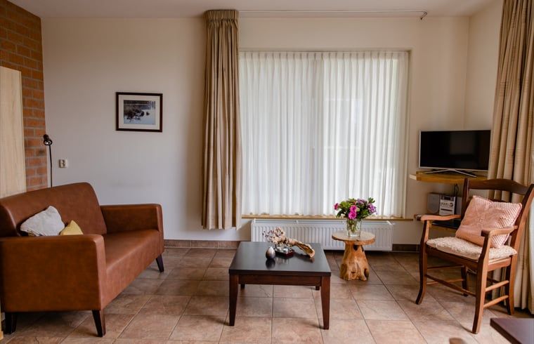 Gemuetliches Wohnzimmer des Ferienhauses in Den Ham, Twente, Overijssel, mit bequemer Sitzecke und Tageslicht.