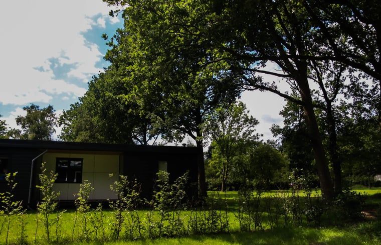 Unterkunft 520421 - Ferienhaus Twente - Vakantiehuisje in Den Ham