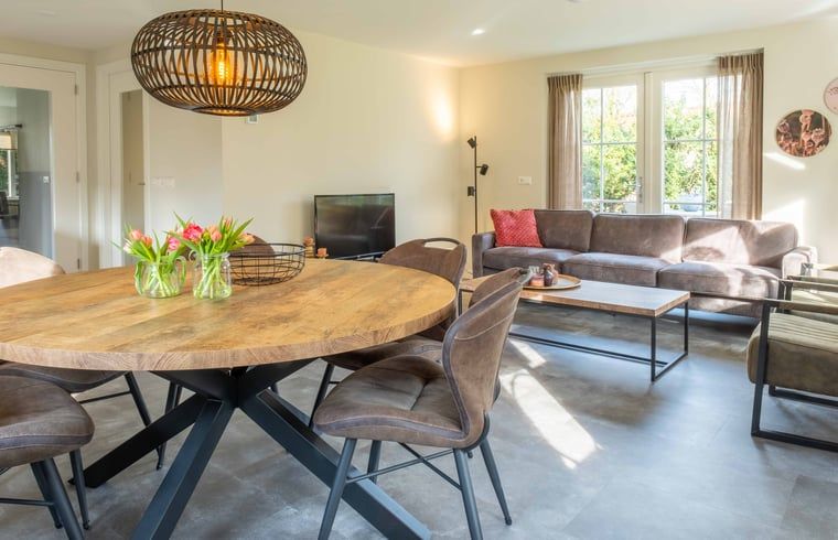 Gezellige woonkamer in Vakantiehuisje in Den Ham, Twente, met moderne inrichting en veel natuurlijk licht.