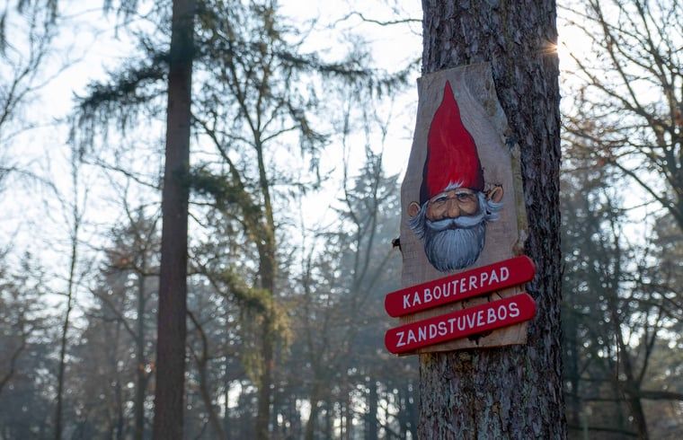 Verblijf 520431 - Vakantiewoning Twente - Vakantiehuisje in Den Ham