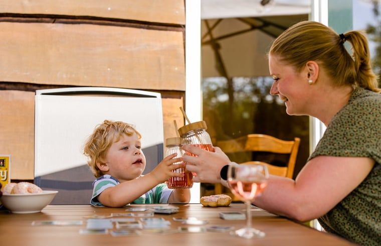 Guest house 520439 - Holiday property Twente - Huisje in Den Ham (Twente)