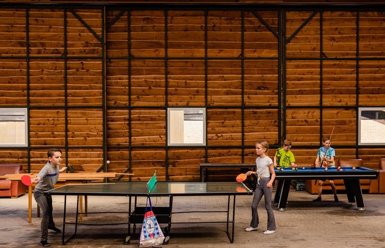 Guest house 520439 - Holiday property Twente - Huisje in Den Ham (Twente)