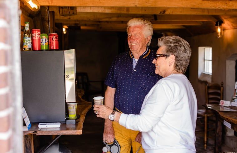 Guest house 520439 - Holiday property Twente - Huisje in Den Ham (Twente)