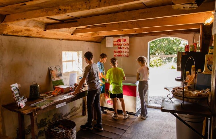 Guest house 520439 - Holiday property Twente - Huisje in Den Ham (Twente)