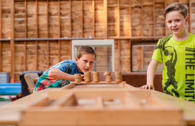 Guest house 520439 - Holiday property Twente - Huisje in Den Ham (Twente)