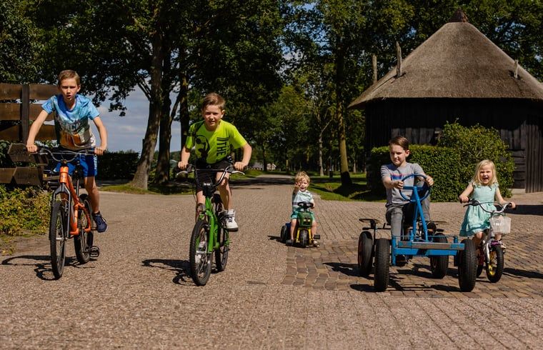 Guest house 520439 - Holiday property Twente - Huisje in Den Ham (Twente)