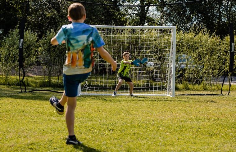 Guest house 520439 - Holiday property Twente - Huisje in Den Ham (Twente)