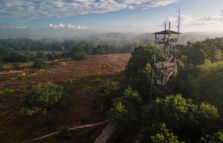 Guest house 520439 - Holiday property Twente - Huisje in Den Ham (Twente)