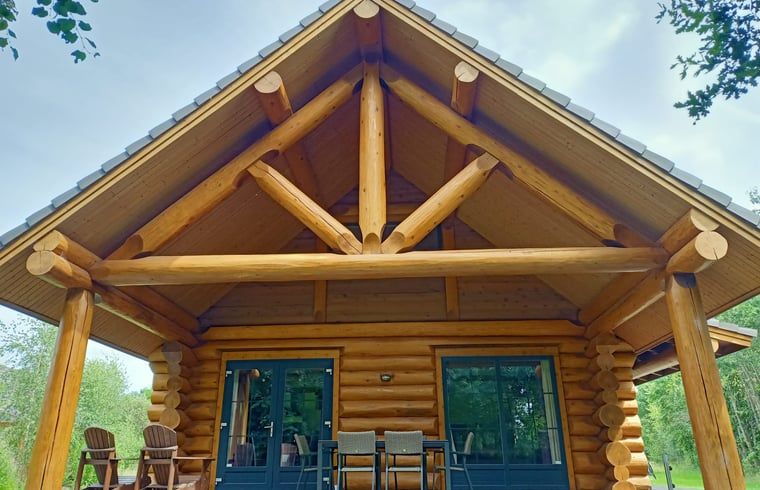 Gemuetliche Veranda des Ferienhauses in Den Ham, Twente, Overijssel, umgeben von Natur und rustikalem Charme.