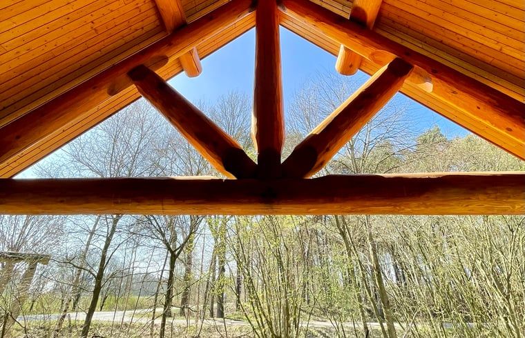 Unterkunft 520449 - Ferienhaus Twente - Vakantiehuisje in Den Ham