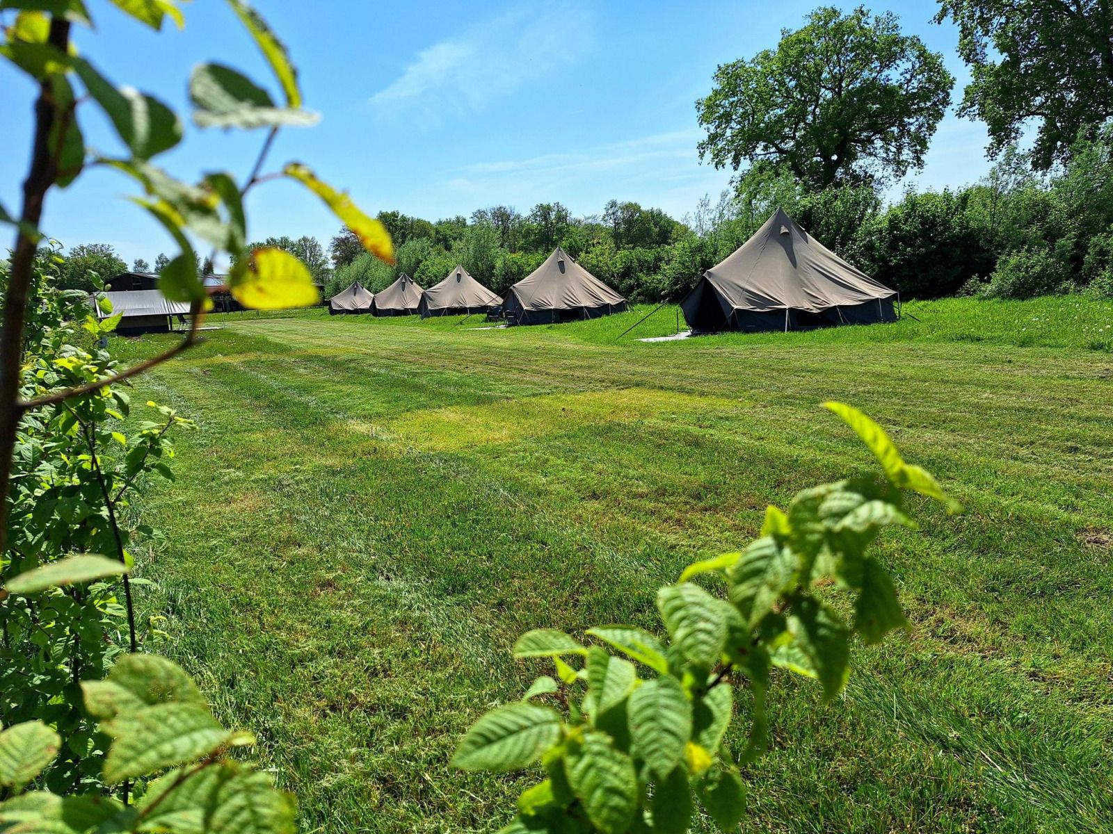 Verblijf 520455 - Tenthuis Twente - Glamping belltent