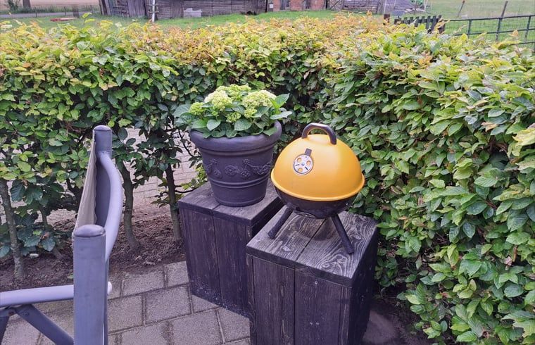 Detail van barbecue en planten op het terras van Huisje in Den Ham, een vakantiehuis in Twente.