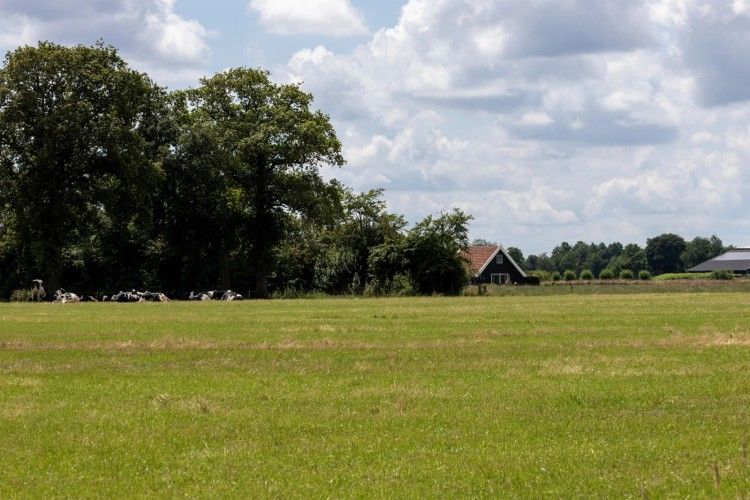 Rustikales Ferienhaus het Assenhoekje in Den Ham, Twente, umgeben von ueppiger Natur und weiten Feldern in Overijssel.