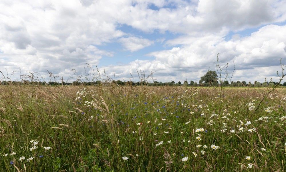 Unterkunft 520483 - Ferienhaus Twente - het Assenhoekje