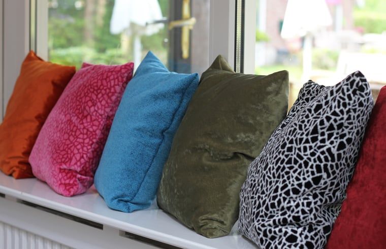 Unterkunft 520523 - Ferienhaus Twente - Vakantiehuis in de Lutte