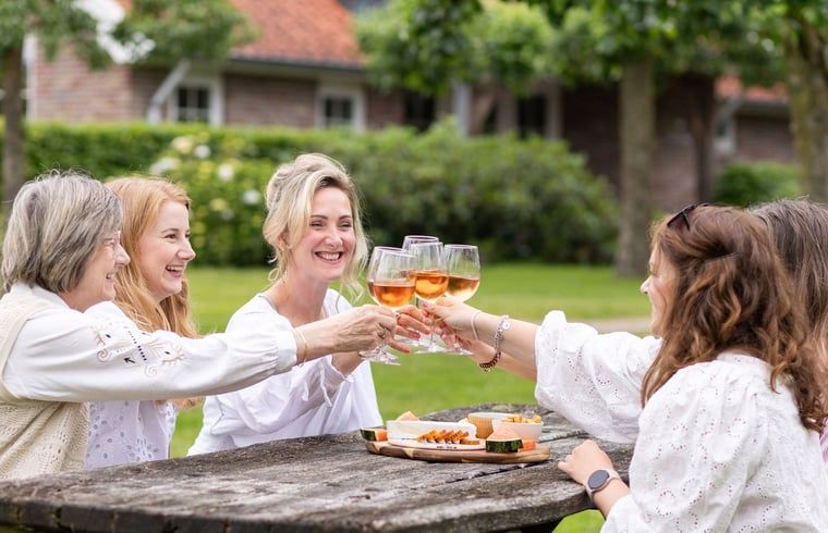 Unterkunft 520523 - Ferienhaus Twente - Vakantiehuis in de Lutte