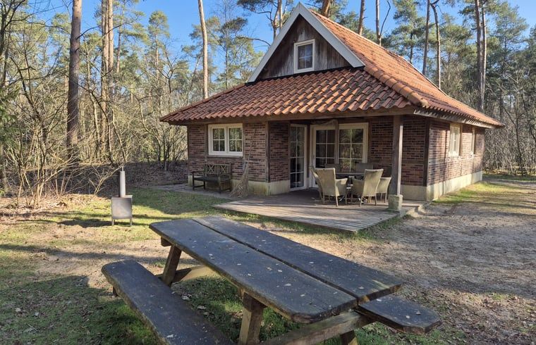 Vacation home in de Lutte, Twente with terrace and picnic table surrounded by nature in Overijssel.