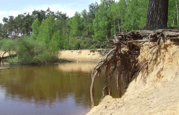 Guest house 520524 - Holiday property Twente - Vakantiehuis in de Lutte