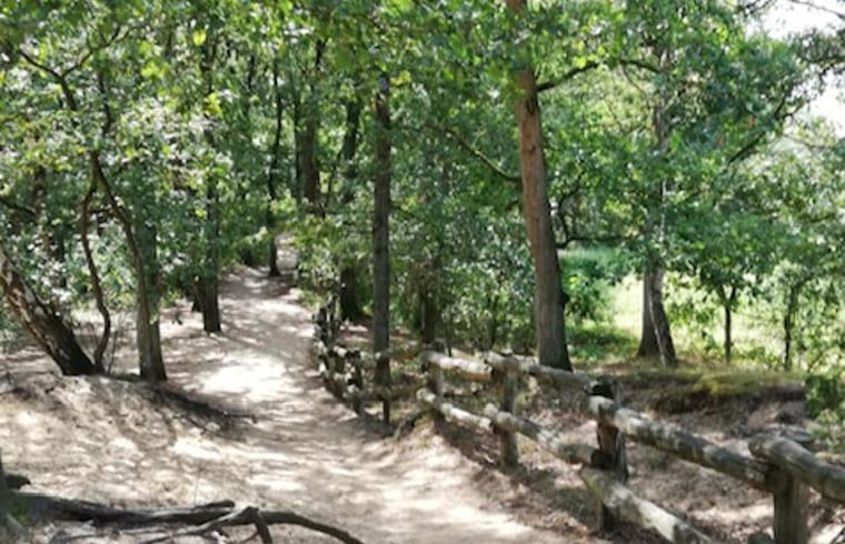 Guest house 520524 - Holiday property Twente - Vakantiehuis in de Lutte