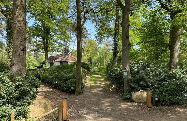 Verblijf 520525 - Vakantiewoning Twente - Vakantiehuisje in de Lutte