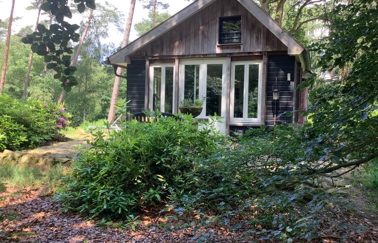 Gezellig vakantiehuis in de Lutte, Twente met uitzicht op groene bossen in Overijssel.
