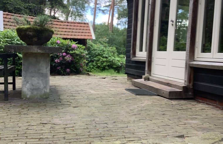 Zonnig terras bij vakantiehuis in de Lutte, Twente, perfect voor ontspanning in Overijssel.