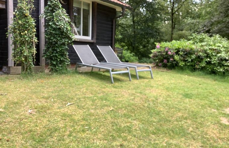 Verblijf 520529 - Vakantiewoning Twente - Vakantiehuis in de Lutte