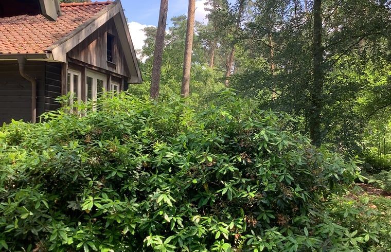 Verblijf 520529 - Vakantiewoning Twente - Vakantiehuis in de Lutte