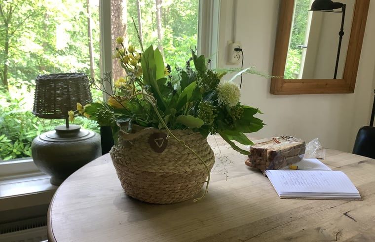 Verblijf 520529 - Vakantiewoning Twente - Vakantiehuis in de Lutte