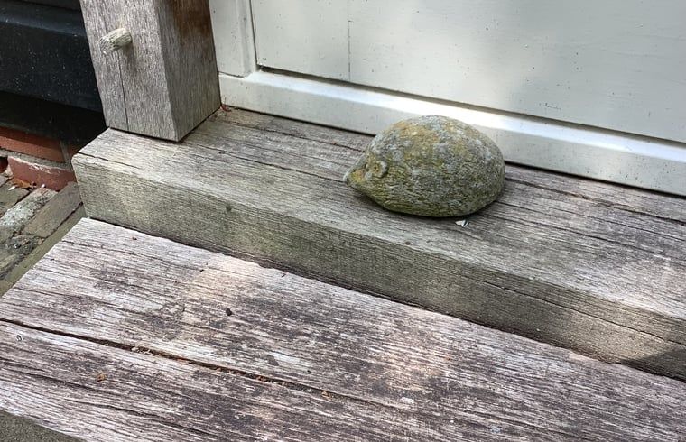 Verblijf 520529 - Vakantiewoning Twente - Vakantiehuis in de Lutte