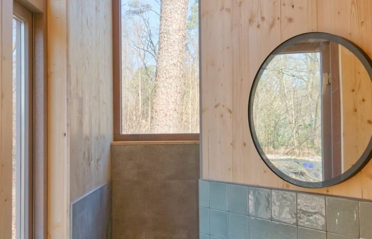 Stijlvolle badkamer met natuuruitzicht in Vakantiehuisje in de Lutte, Twente.