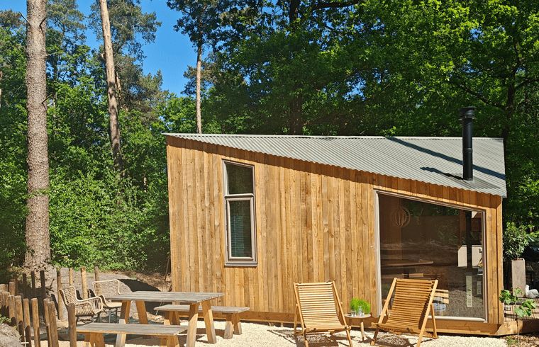 Buitenterras van Vakantiehuisje in de Lutte, Twente, omringd door groen.