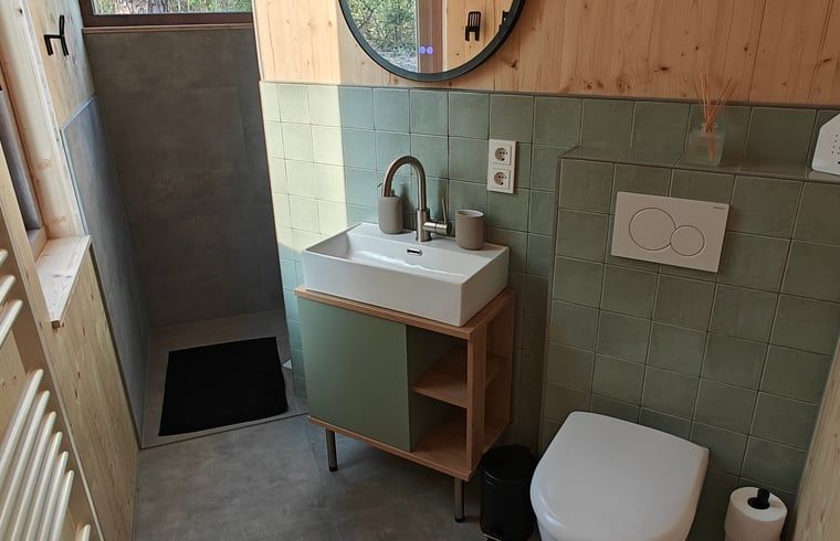 Complete badkamer met wastafel en toilet in Vakantiehuisje in de Lutte, Twente.