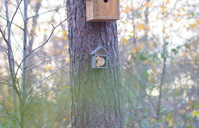 Guest house 520553 - Holiday property Twente - Vakantiehuisje in de Lutte