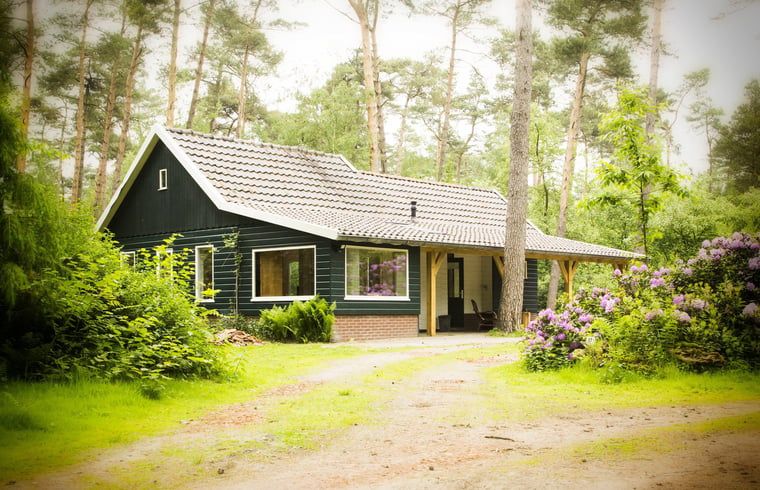 Ferienhaus in De Lutte, Gemeinde Losser, umgeben von gruener Natur in Twente, Overijssel. Ideal fuer einen erholsamen Aufenthalt in den Waeldern.