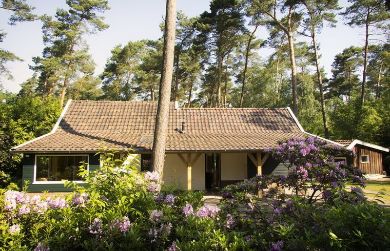 Ferienhaus in De Lutte, Twente, umgeben von Natur und Blumen, ideal zum Entspannen in der rustikalen Umgebung von Overijssel.