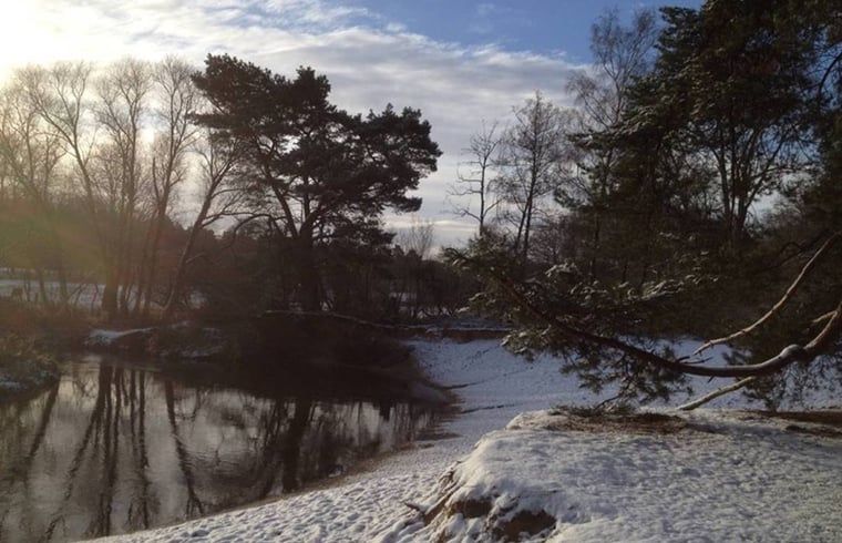 Unterkunft 520556 - Ferienhaus Twente - Vakantiehuisje in De Lutte, gemeente Losser