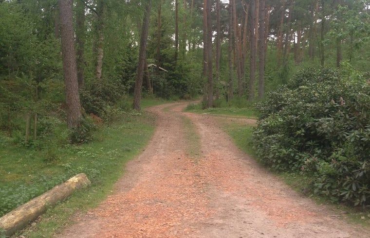 Unterkunft 520556 - Ferienhaus Twente - Vakantiehuisje in De Lutte, gemeente Losser