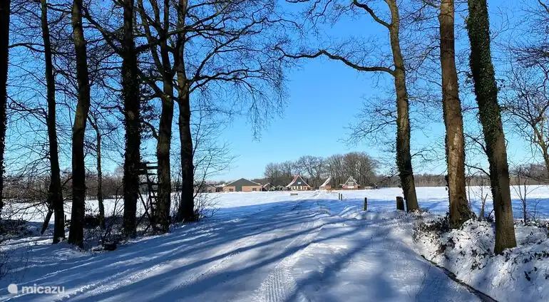 Guest house 520558 - Apartment Twente - Het Haerman (De Regge)