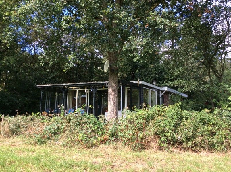 Mapadodo Ferienhaus in Nutter, Twente, umgeben von ppiger Natur und Bumen.
