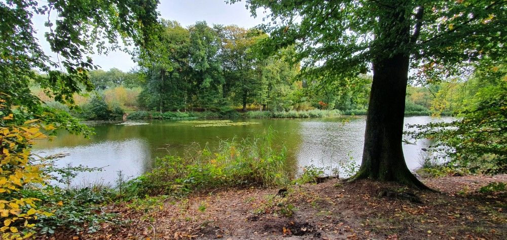 Unterkunft 520820 - Ferienhaus Twente - Mapadodo