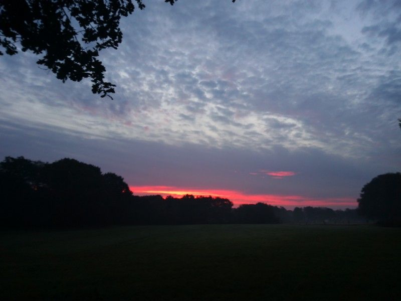 Unterkunft 520820 - Ferienhaus Twente - Mapadodo