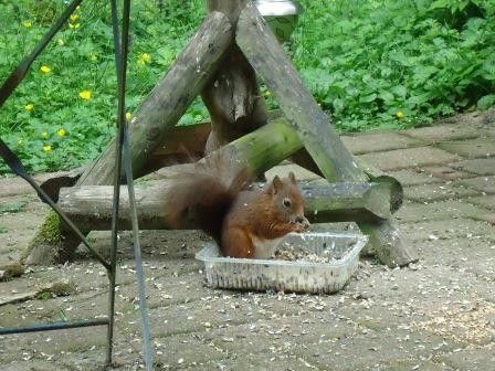 Unterkunft 520820 - Ferienhaus Twente - Mapadodo