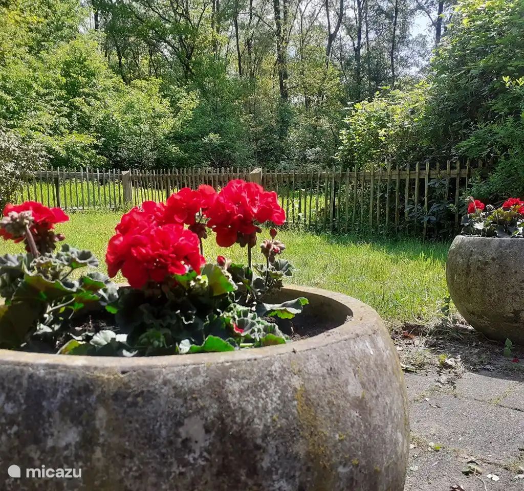 Verblijf 520834 - Bungalow Twente - Zonneheuvel