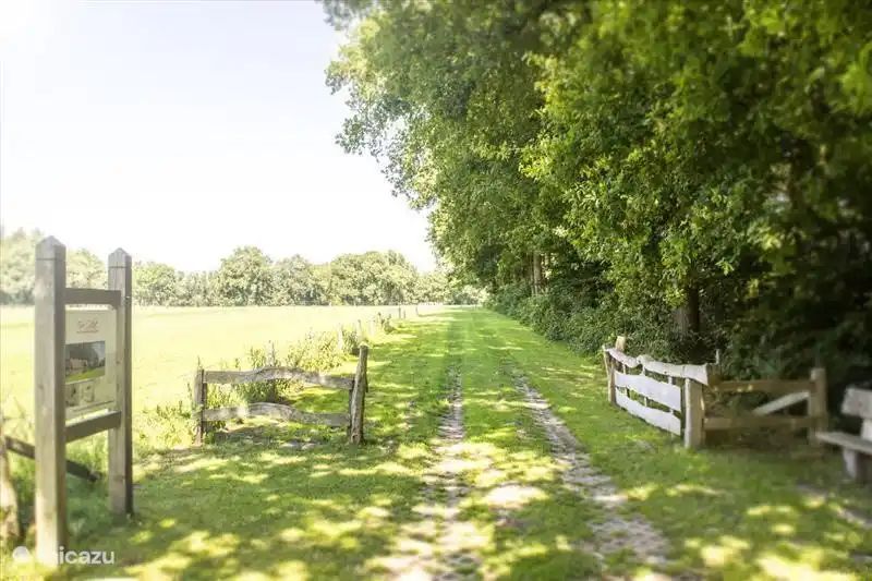 Unterkunft 520845 - Ferienhaus Twente - Erve Getkot  'n Pol